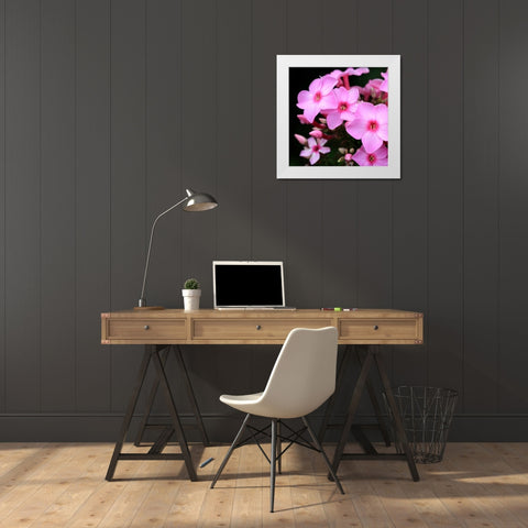 Pink Flowers White Modern Wood Framed Art Print by PhotoINC Studio