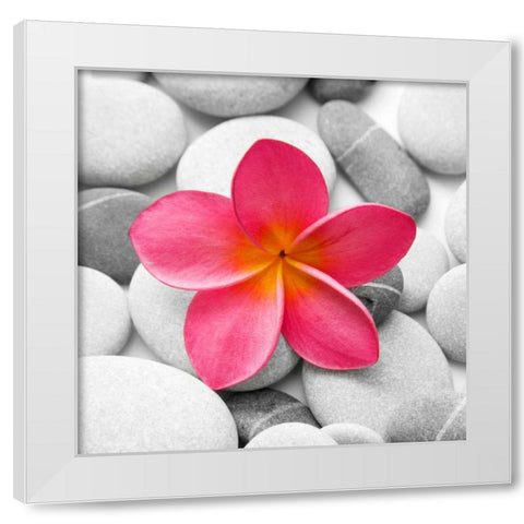 Zen Flower White Modern Wood Framed Art Print by PhotoINC Studio
