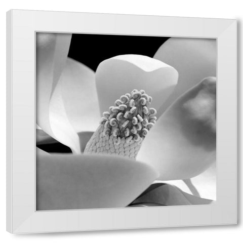 Fibonacci 1 White Modern Wood Framed Art Print by PhotoINC Studio