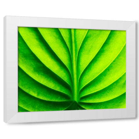 Green Design White Modern Wood Framed Art Print by PhotoINC Studio