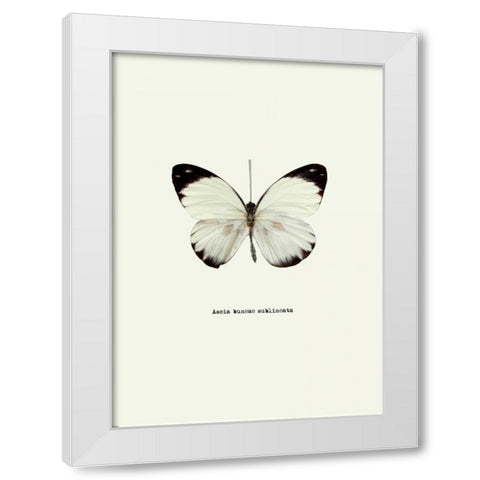 White Butterfly White Modern Wood Framed Art Print by GraphINC