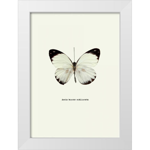 White Butterfly White Modern Wood Framed Art Print by GraphINC