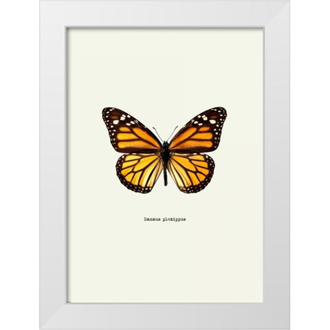 Yellow Butterfly White Modern Wood Framed Art Print by GraphINC
