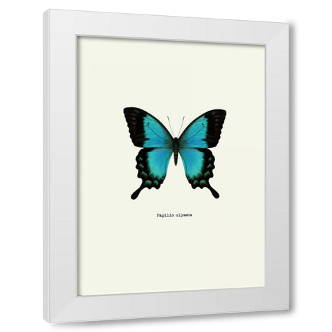 Blue Butterfly White Modern Wood Framed Art Print by GraphINC