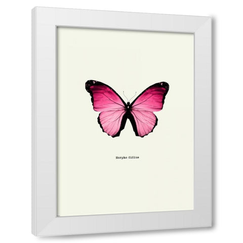 Pink Butterfly White Modern Wood Framed Art Print by GraphINC