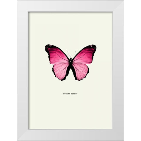 Pink Butterfly White Modern Wood Framed Art Print by GraphINC