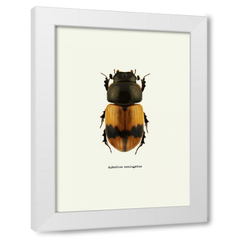 Beetle Orange White Modern Wood Framed Art Print by GraphINC