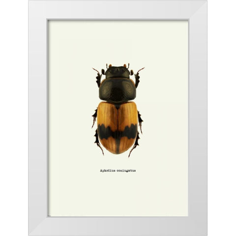 Beetle Orange White Modern Wood Framed Art Print by GraphINC
