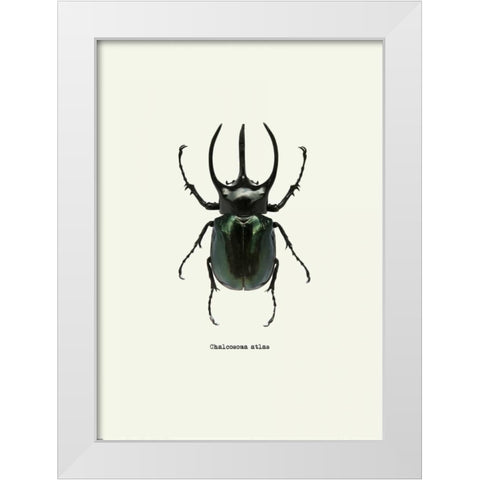 Beetle Black White Modern Wood Framed Art Print by GraphINC
