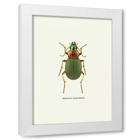 Beetle Green White Modern Wood Framed Art Print by GraphINC