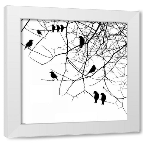 Bird II White Modern Wood Framed Art Print by GraphINC