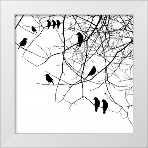 Bird II White Modern Wood Framed Art Print by GraphINC