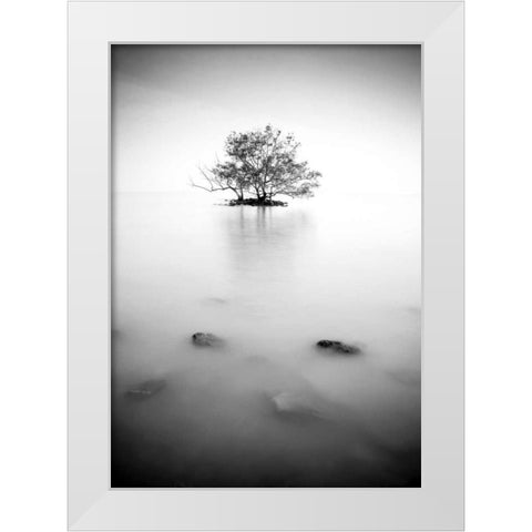 In the mist White Modern Wood Framed Art Print by PhotoINC Studio