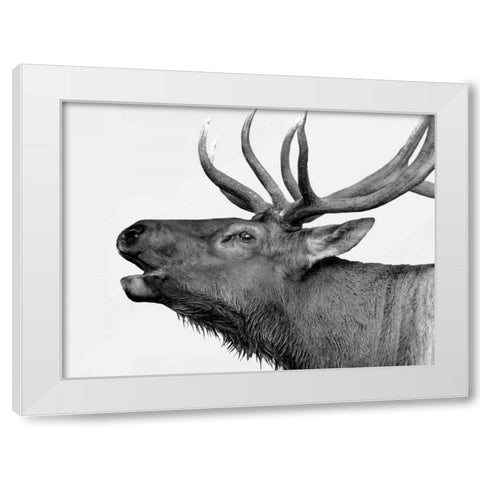 Deer White Modern Wood Framed Art Print by PhotoINC Studio