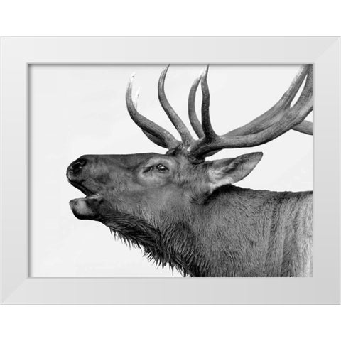 Deer White Modern Wood Framed Art Print by PhotoINC Studio