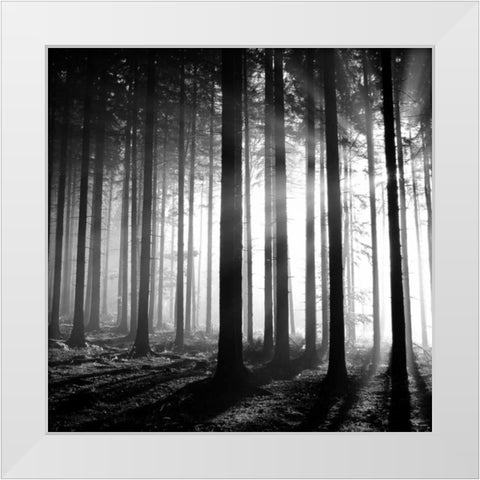 Wood Light White Modern Wood Framed Art Print by PhotoINC Studio