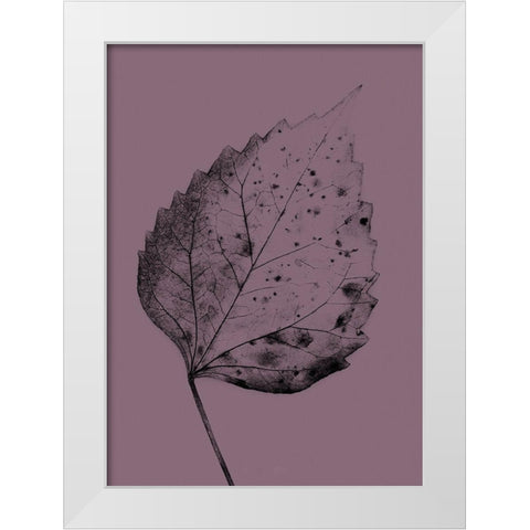 Heaven on 3rd IV White Modern Wood Framed Art Print by Incado