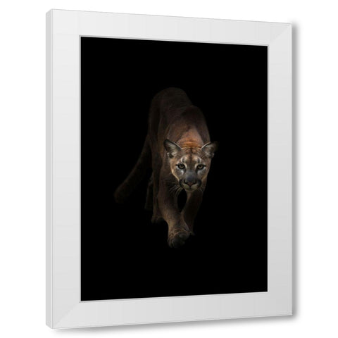 Lion White Modern Wood Framed Art Print by Incado