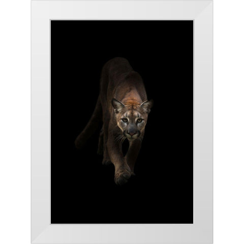 Lion White Modern Wood Framed Art Print by Incado