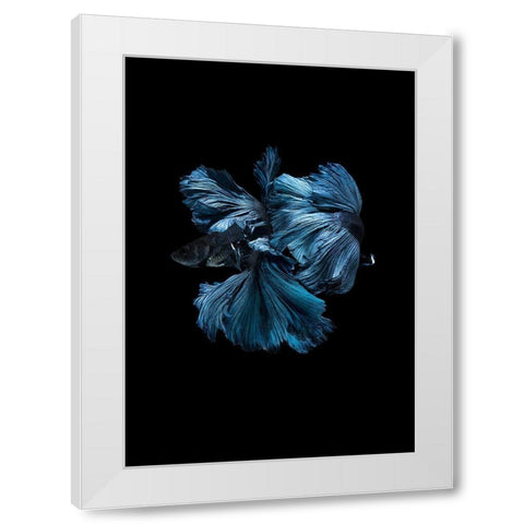 Blue Betta White Modern Wood Framed Art Print by Incado