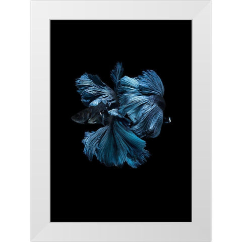 Blue Betta White Modern Wood Framed Art Print by Incado
