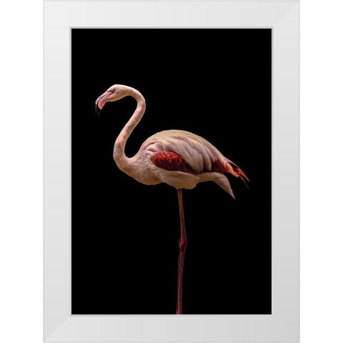 Flamingo White Modern Wood Framed Art Print by Incado