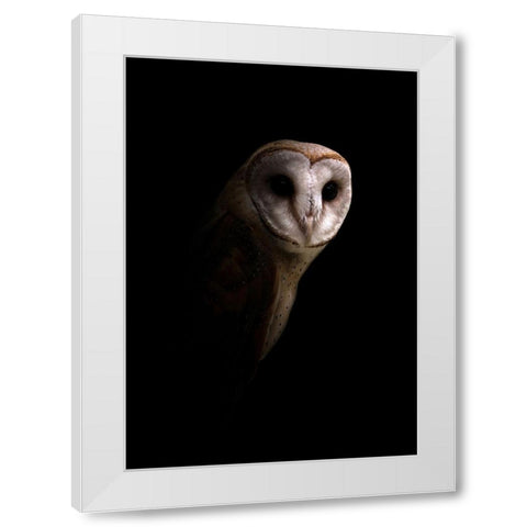Owl White Modern Wood Framed Art Print by Incado