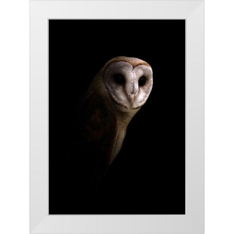 Owl White Modern Wood Framed Art Print by Incado