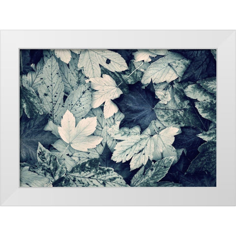 Forest Floor White Modern Wood Framed Art Print by Incado