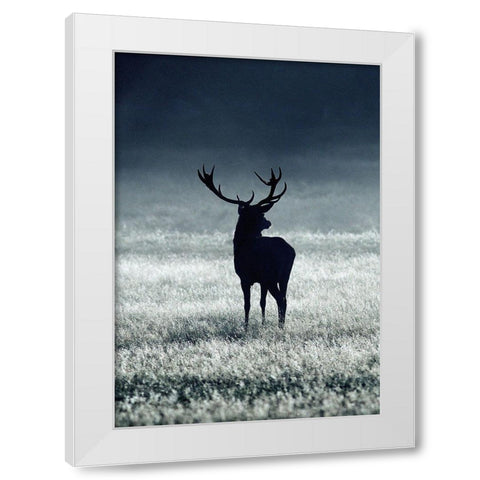 Silhouette Deer White Modern Wood Framed Art Print by Incado