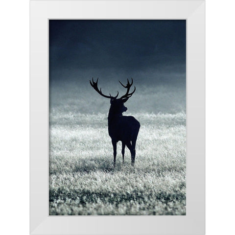 Silhouette Deer White Modern Wood Framed Art Print by Incado