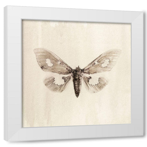 Sepia Moth White Modern Wood Framed Art Print by Incado