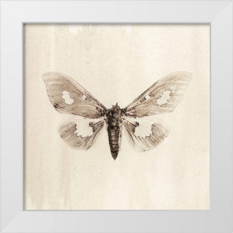 Sepia Moth White Modern Wood Framed Art Print by Incado