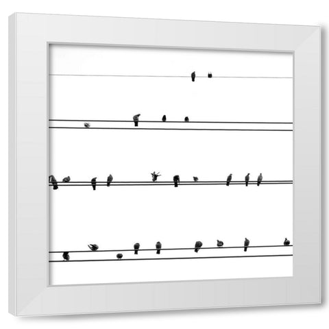Birds on the Line White Modern Wood Framed Art Print by Incado