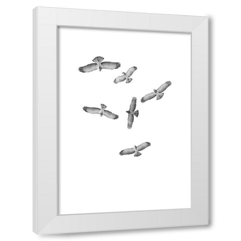 Birds of Prey White Modern Wood Framed Art Print by Incado