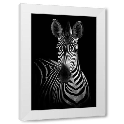 Zebra White Modern Wood Framed Art Print by Incado
