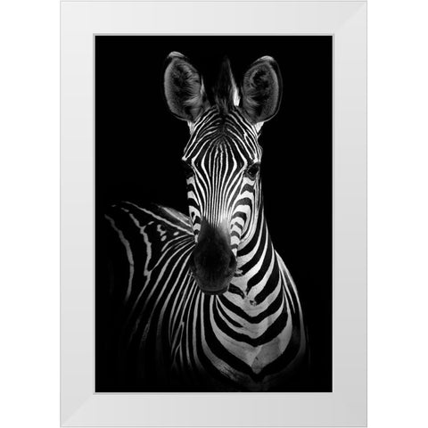Zebra White Modern Wood Framed Art Print by Incado