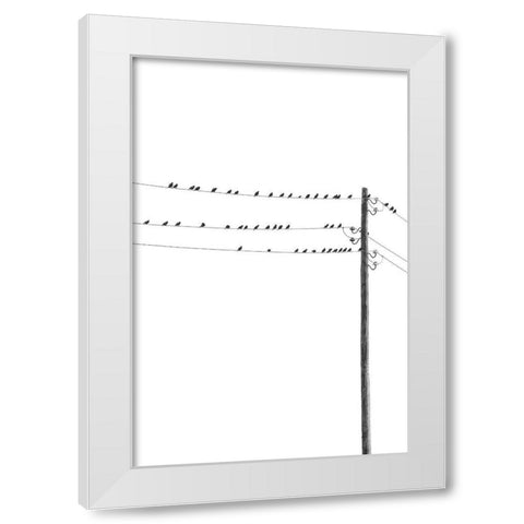 Birds on Wires White Modern Wood Framed Art Print by Incado