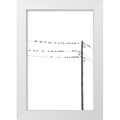 Birds on Wires White Modern Wood Framed Art Print by Incado