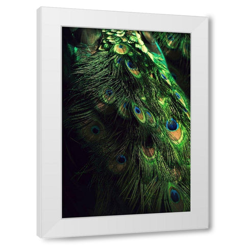 Peacock Tail White Modern Wood Framed Art Print by Incado