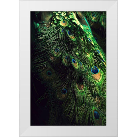 Peacock Tail White Modern Wood Framed Art Print by Incado