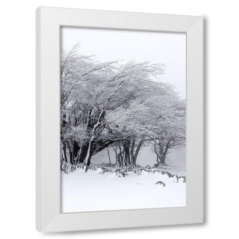 Winter Storm White Modern Wood Framed Art Print by Incado