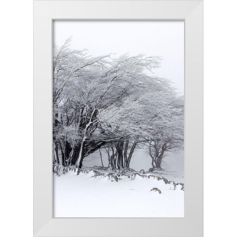 Winter Storm White Modern Wood Framed Art Print by Incado