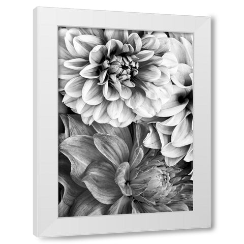 B And W Flower 2 White Modern Wood Framed Art Print by Incado