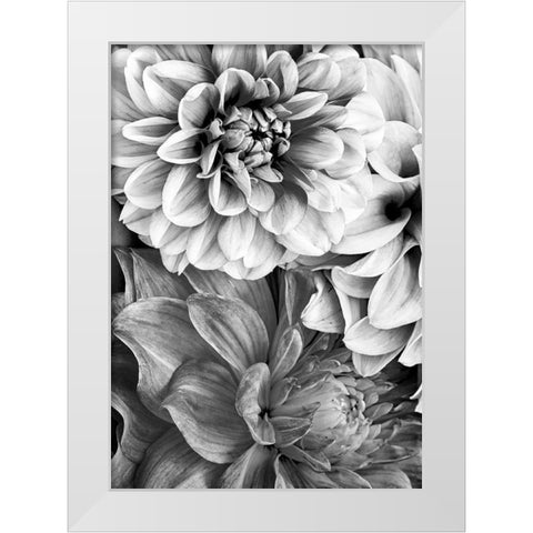 B And W Flower 2 White Modern Wood Framed Art Print by Incado