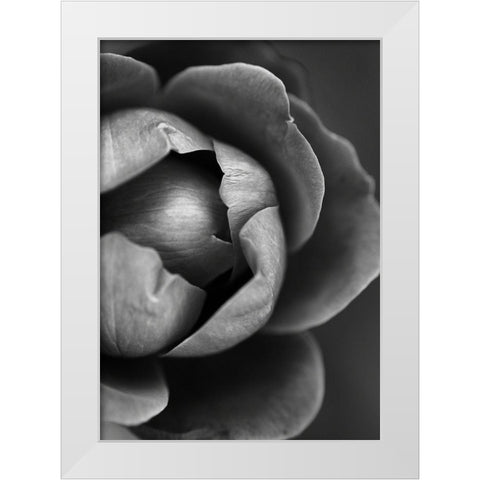 Flower Bloom White Modern Wood Framed Art Print by Incado