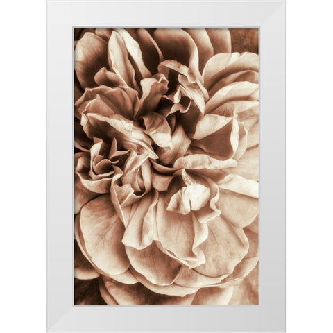 Flower Bloom 3 White Modern Wood Framed Art Print by Incado