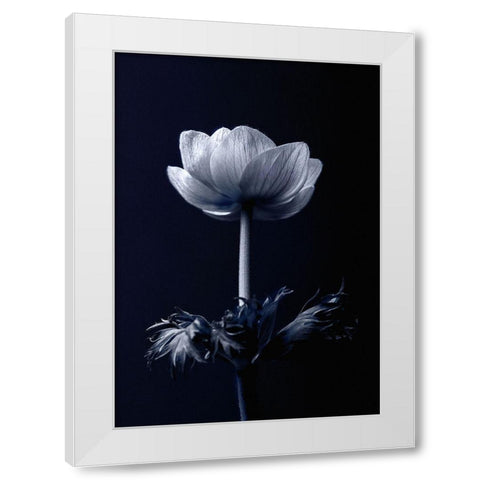 Single Flower White Modern Wood Framed Art Print by Incado