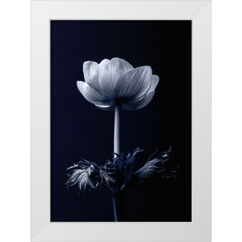 Single Flower White Modern Wood Framed Art Print by Incado