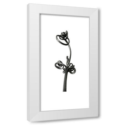 Blossfeldt Botanical No. 4 White Modern Wood Framed Art Print by Incado